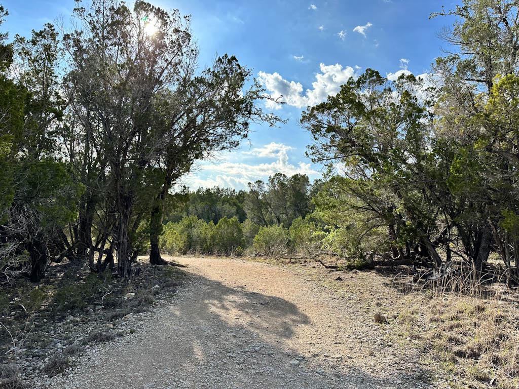 pedernales-falls-trail.jpeg